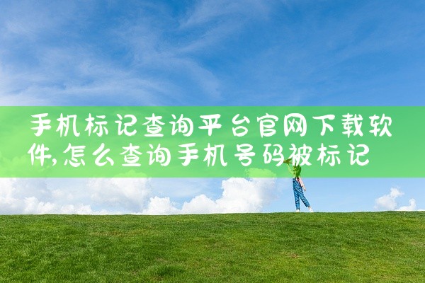 手机标记查询平台官网下载软件