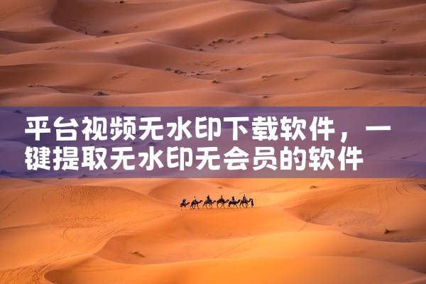 平台视频无水印下载软件