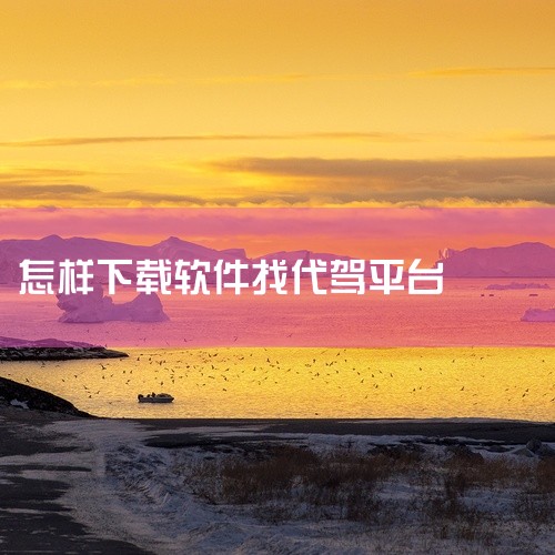 代驾人app的使用方法如下：一、下载与注册1. 下载：在手机应用商店中搜索“代驾人”app，找到对应的应用程序并点击下载按钮，等待下载和安装完成。2. 注册：打开已安装好的代驾人app，按照系统提示进,