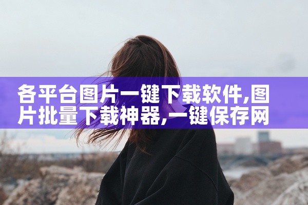 各平台图片一键下载软件