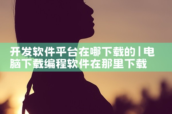 开发软件平台在哪下载的