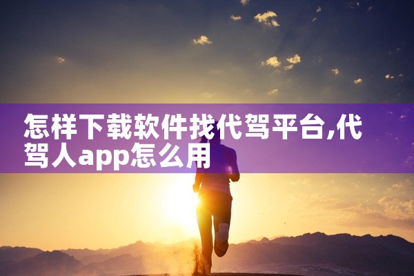 怎样下载软件找代驾平台