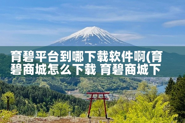 育碧平台到哪下载软件啊