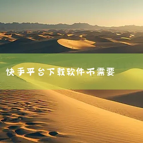 1.打开手机的设置，点击【隐私】。
2.然后在打开的隐私页面中，点击【权限管理】。
3.选择快手。
4.往下滑，点击【应用内安装其他应用】。,